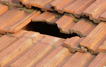 roof repair Puckington, Somerset