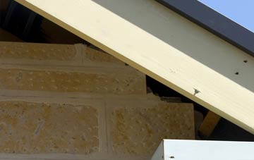 soffit repair Puckington